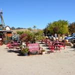 Cambria_2015_0149 (November 07, 2015)